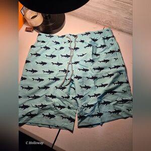 APTRO Men's Swim Trunks 9" Quick Dry  Big & Tall  Shark Green 1X